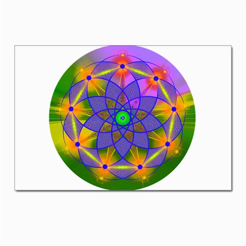 Unconditionality Postcard 4 x 6  (Pkg of 10) from ArtsNow.com Front