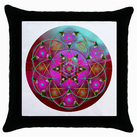 Wisdom Throw Pillow Case (Black) from ArtsNow.com Front