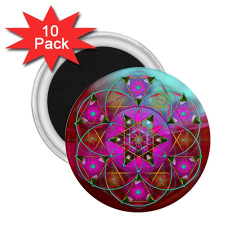 Wisdom 2.25  Magnet (10 pack) from ArtsNow.com Front