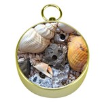 Beach Treasures Gold Compass