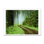 Forest Sticker A4 (100 pack)