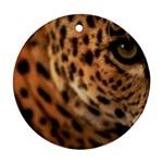 Tiger Eye Ornament (Round)