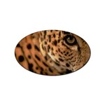 Tiger Eye Sticker Oval (100 pack)
