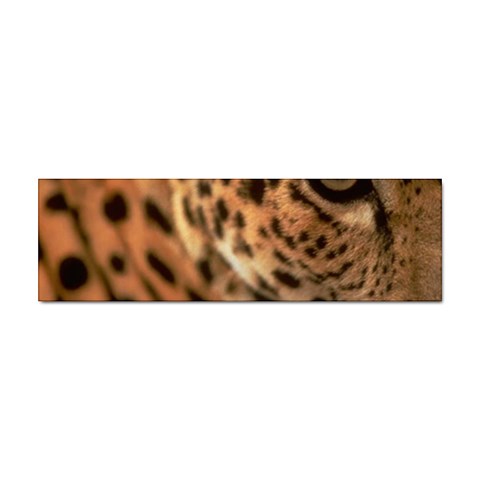 Tiger Eye Sticker Bumper (10 pack) from ArtsNow.com Front