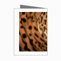 Tiger Eye Mini Greeting Card from ArtsNow.com Right