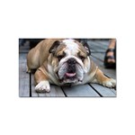 English Bulldog Sticker Rectangular (10 pack)
