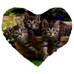 Personalize 19  Premium Heart Shape Cushion