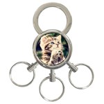 Personalize 3-Ring Key Chain