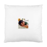 Pastedgraphic 3 Cushion Case (Two Sides)