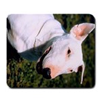 bull terrier Large Mousepad