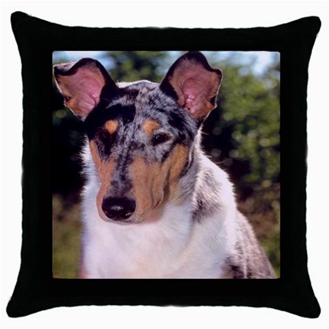 collie 2 Throw Pillow Case (Black) from ArtsNow.com Front
