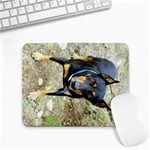 doberman pinscher Small Mousepad