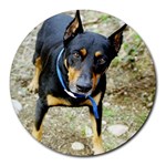 doberman pinscher Round Mousepad