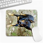 doberman pinscher Large Mousepad