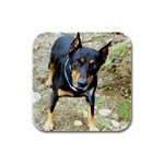 doberman pinscher Rubber Square Coaster (4 pack)