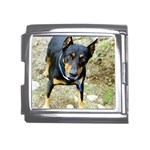 doberman pinscher Mega Link Italian Charm (18mm)