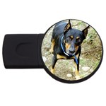doberman pinscher USB Flash Drive Round (2 GB)