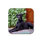 Great Dane Rubber Square Coaster (4 pack)
