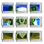 Nature Devas 9mm Italian Charm (9 pack)