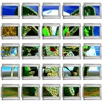 Nature Devas 9mm Italian Charm (25 pack)