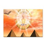 Divine Rayship Sticker A4 (10 pack)
