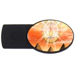 Divine Rayship USB Flash Drive Oval (2 GB)