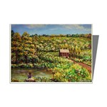 Tenant House in Summer by Ave Hurley - Mini Greeting Cards (Pkg of 8)