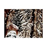  Castle Yard In Winter by Ave Hurley   6  x 8  Desktop Photo Plaque 