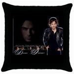 VAMPIRE DIARIES DAMON THROW PILLOW CASE Throw Pillow Case (Black)