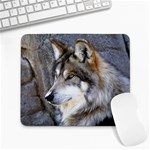 Mexican Wolf Large Mousepad