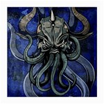 Kraken Glasses Cloth (Medium, Two Sides)