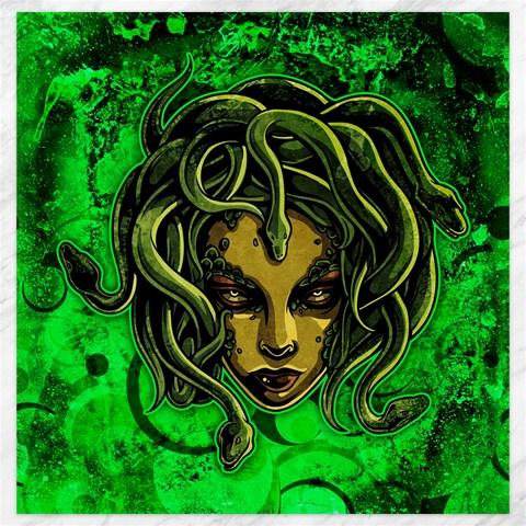 Medusa Canvas 20  x 20  from ArtsNow.com 19 x19.27  Canvas - 1