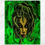 Medusa Canvas 11  x 14 
