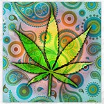 Ganja Canvas 12  x 12 