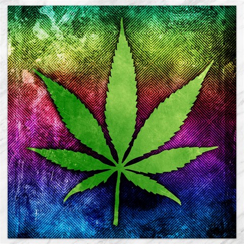 Pot Leaf Canvas 12  x 12  from ArtsNow.com 11.4 x11.56  Canvas - 1