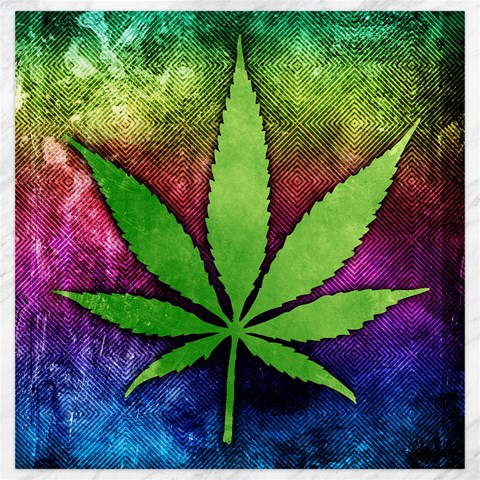 Pot Leaf Canvas 20  x 20  from ArtsNow.com 19 x19.27  Canvas - 1