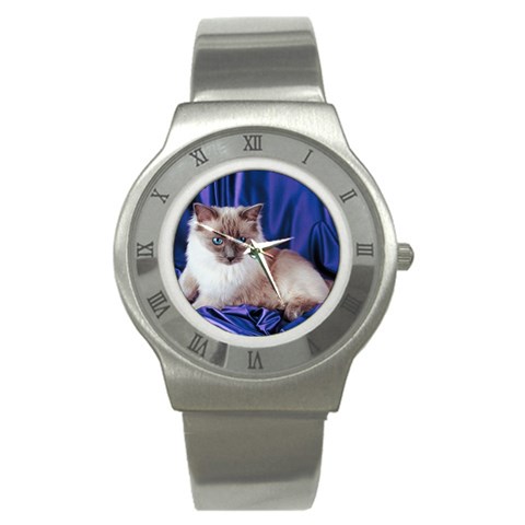Rag Doll Cat D4 Stainless Steel Watch from ArtsNow.com Front