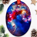 Colorful Cosmos Ornament (Oval)