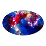 Colorful Cosmos Magnet (Oval)