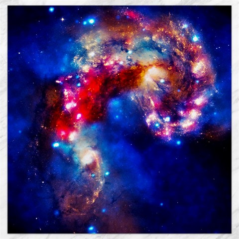 Colorful Cosmos Canvas 12  x 12  from ArtsNow.com 11.4 x11.56  Canvas - 1