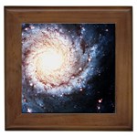 Colorful Cosmos Framed Tile