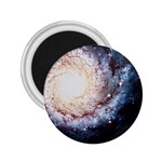 Colorful Cosmos 2.25  Magnet