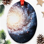 Colorful Cosmos Ornament (Oval)