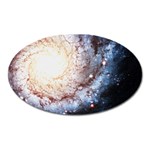 Colorful Cosmos Magnet (Oval)