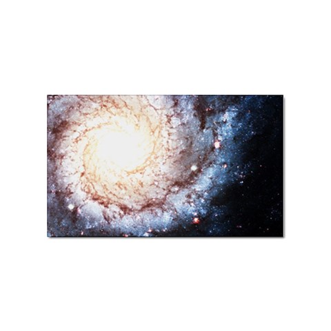 Colorful Cosmos Sticker Rectangular (10 pack) from ArtsNow.com Front