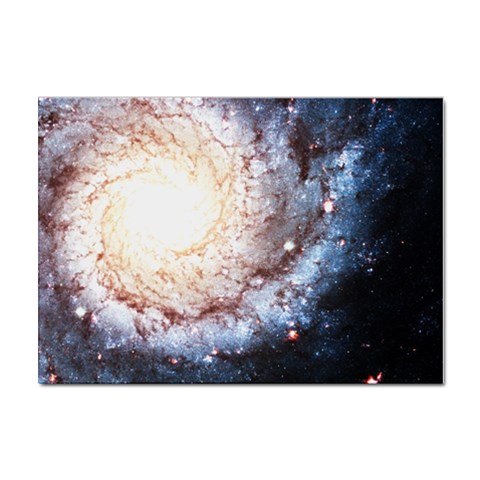 Colorful Cosmos Sticker A4 (100 pack) from ArtsNow.com Front