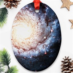 Colorful Cosmos Oval Ornament (Two Sides) from ArtsNow.com Front