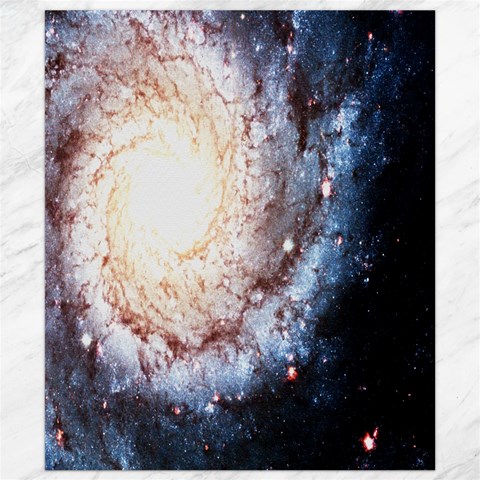 Colorful Cosmos Canvas 8  x 10  from ArtsNow.com 8.15 x9.66  Canvas - 1