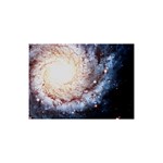 Colorful Cosmos 5  x 7  Desktop Photo Plaque 
