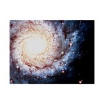 Colorful Cosmos 6  x 8  Desktop Photo Plaque 